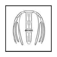 IMBOTTITURA INTERNA